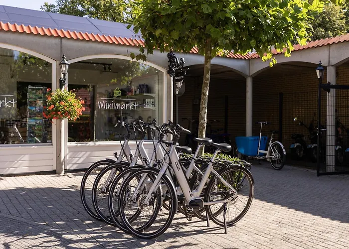 Casa de Férias In Brabant With Hot Tub & Sauna Heikant
